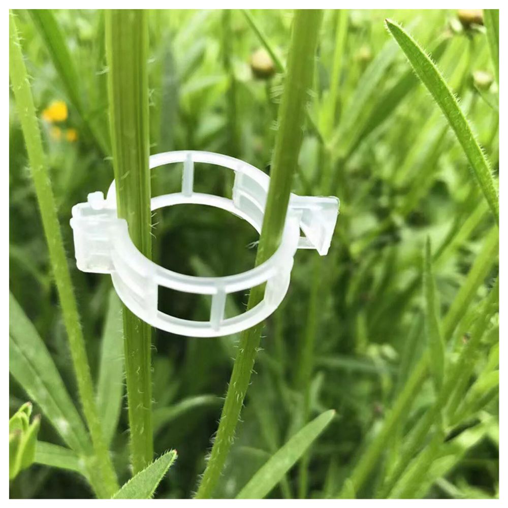 100-300Pcs 25mm Garden Plant Support Clips Veggie Tomato Trellis Twine