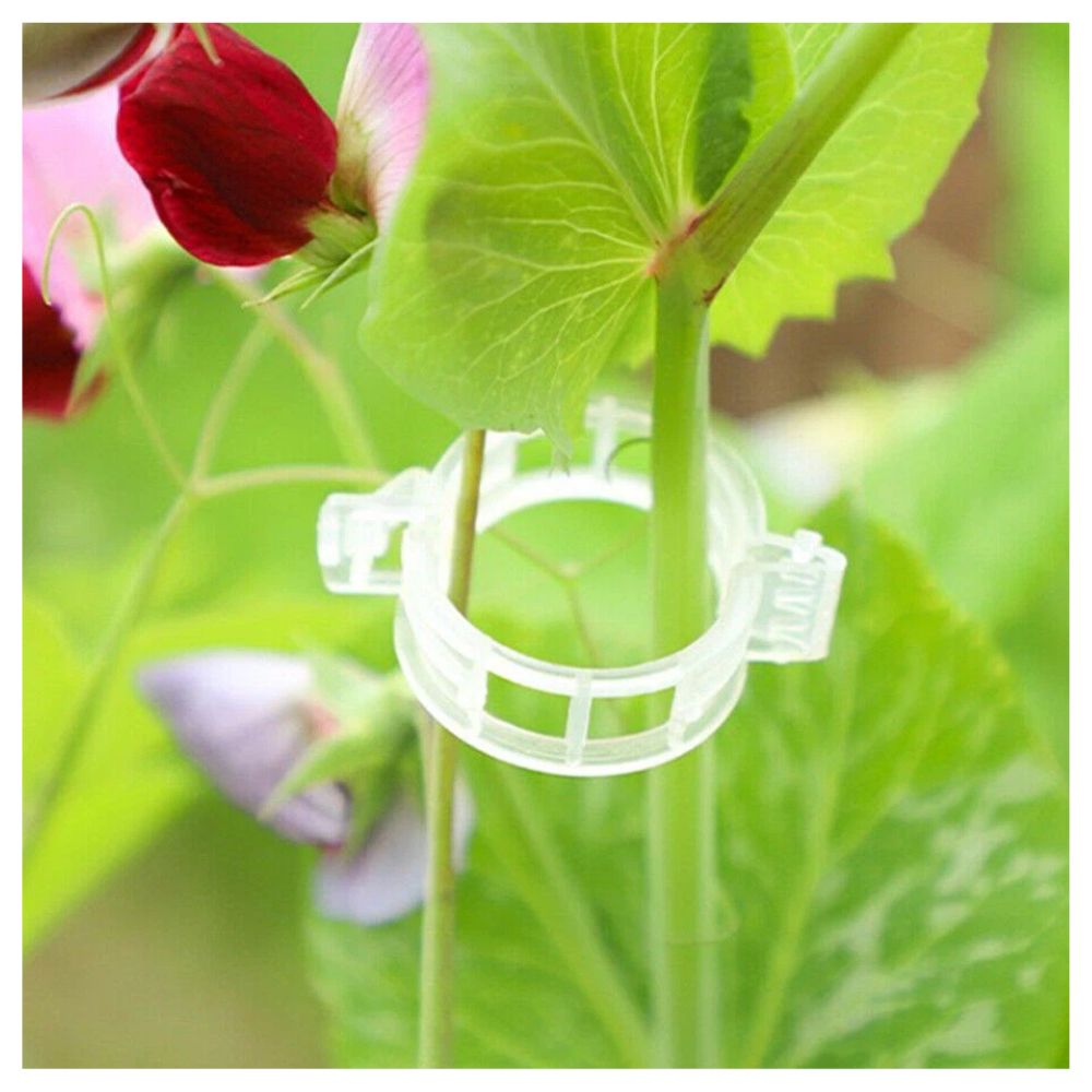 100-300Pcs 25mm Garden Plant Support Clips Veggie Tomato Trellis Twine