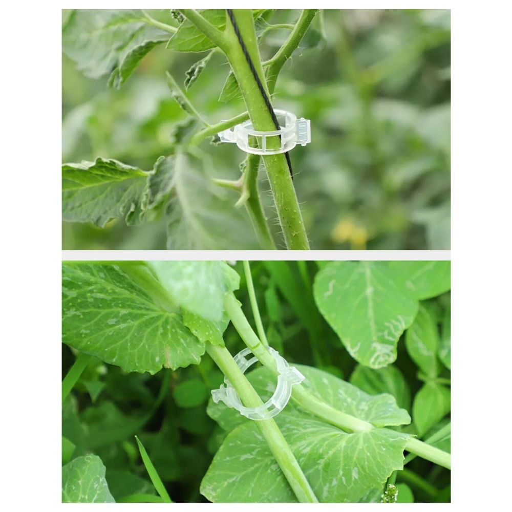 100-300Pcs 25mm Garden Plant Support Clips Veggie Tomato Trellis Twine