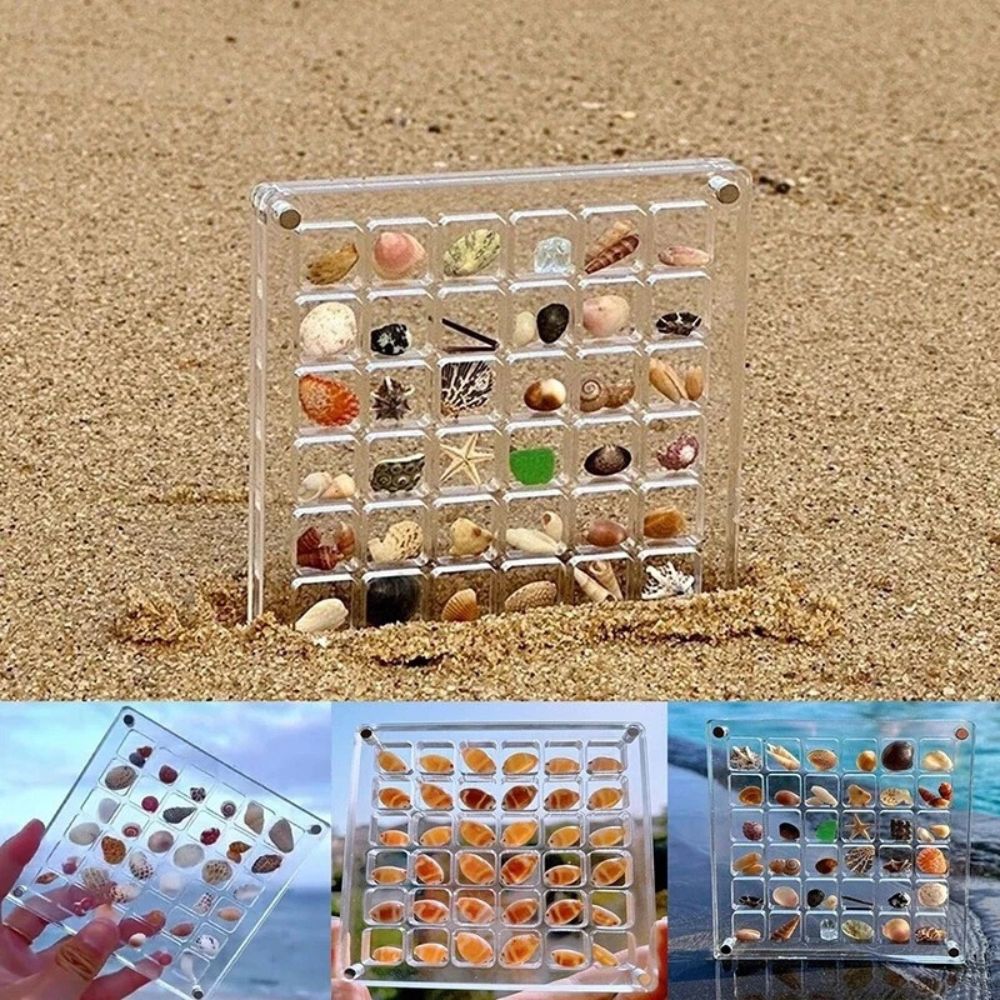 36/64/100Grids Acrylic Magnetic Seashell Display Box Seashell Display Organiser