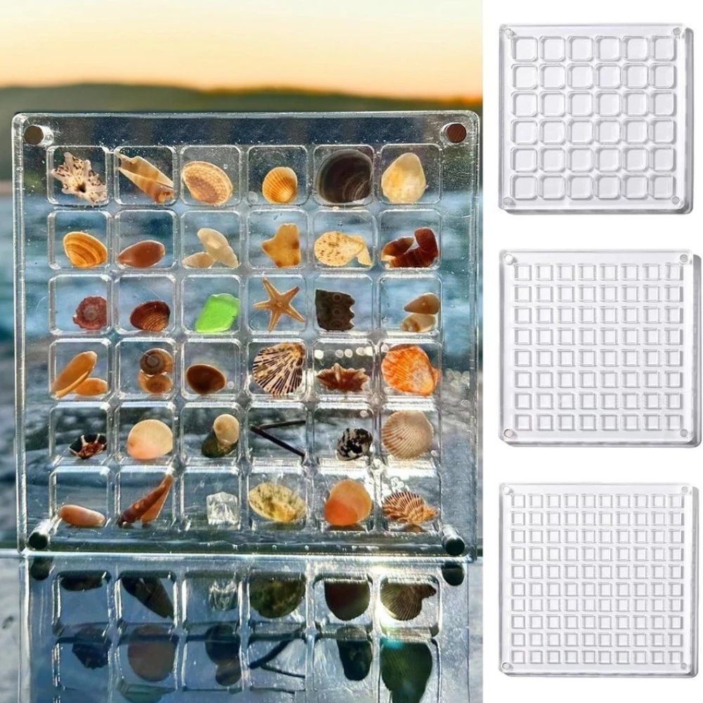 36/64/100Grids Acrylic Magnetic Seashell Display Box Seashell Display Organiser
