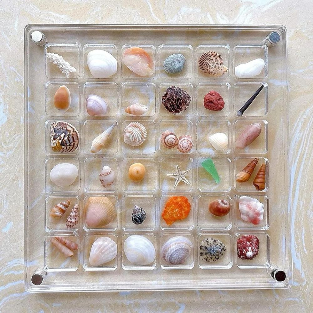 36/64/100Grids Acrylic Magnetic Seashell Display Box Seashell Display Organiser