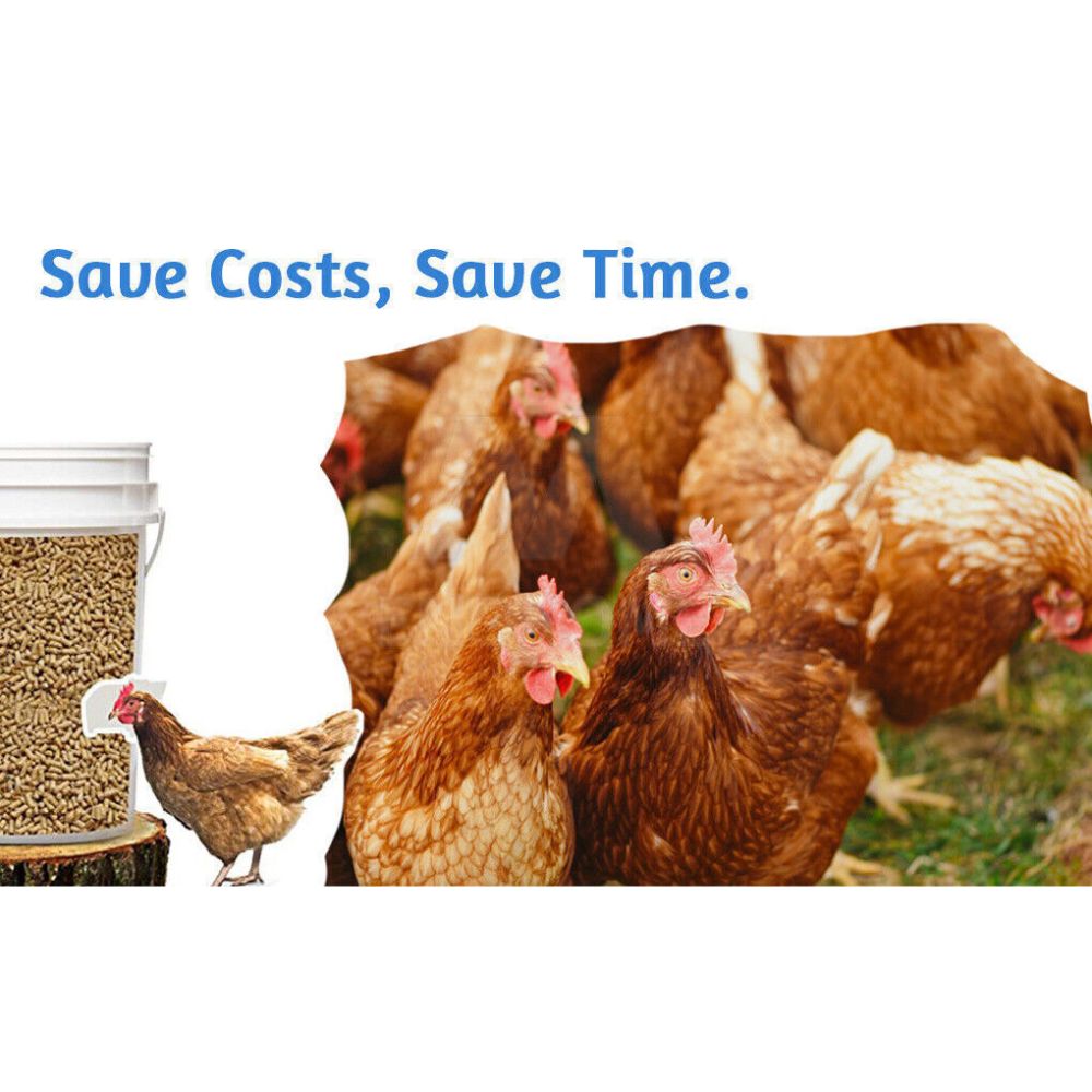 Chicken Feeder Poultry Pro Feeder DIY Port PVC Gravity Fed