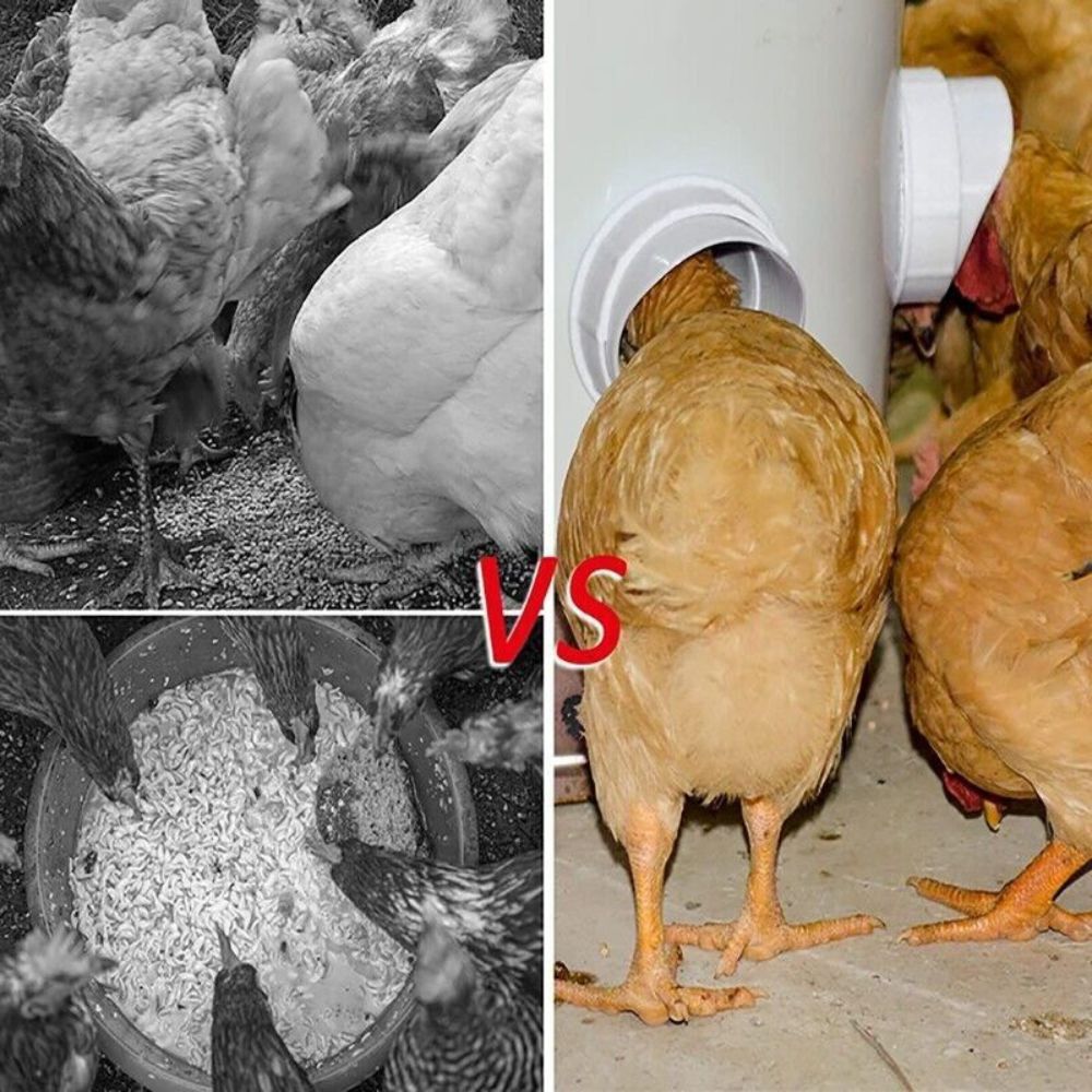 Chicken Feeder Poultry Pro Feeder DIY Port PVC Gravity Fed