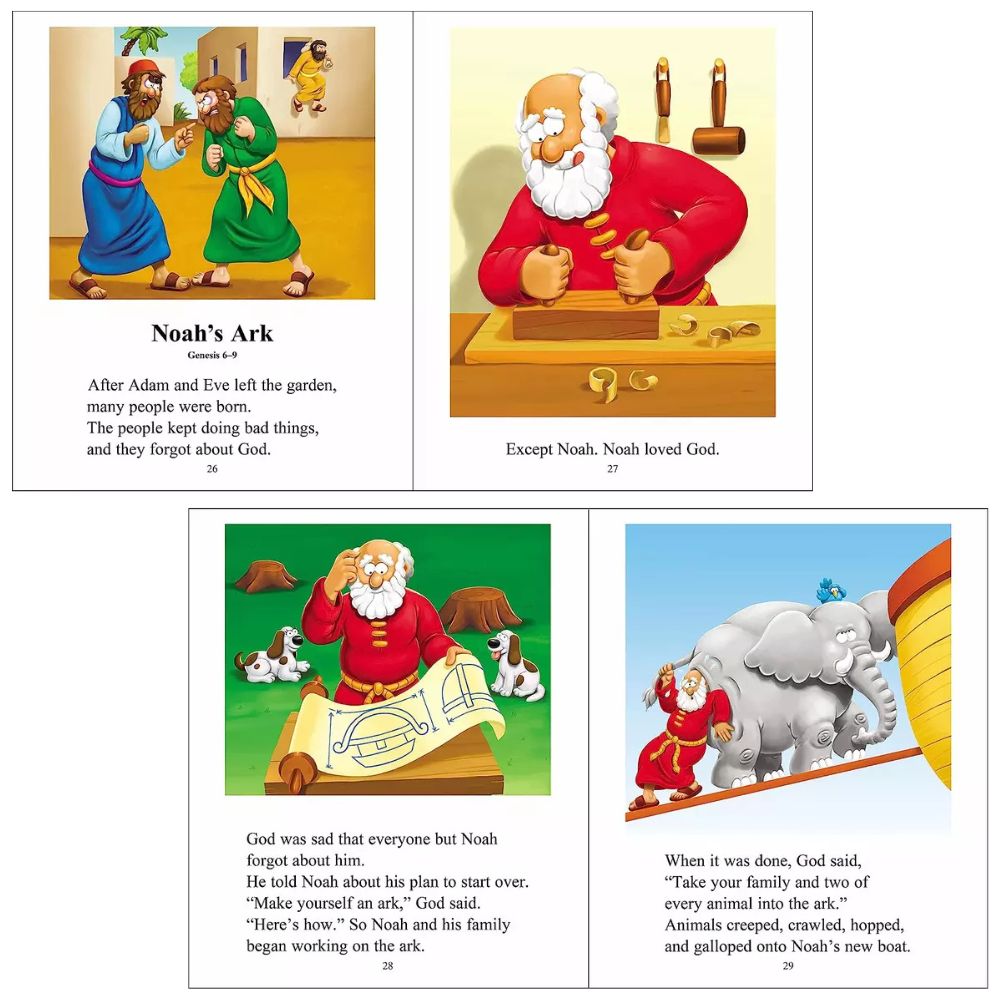 The Beginner's Bible: Timeless Children's Stories Book Novels Kids