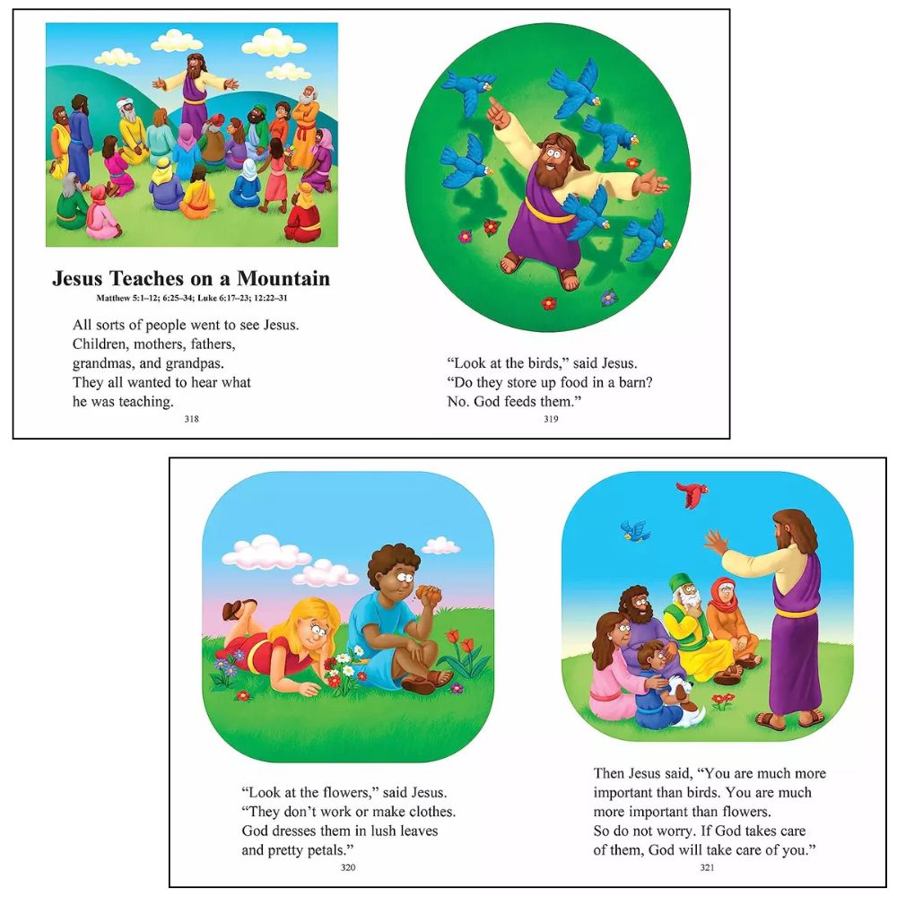 The Beginner's Bible: Timeless Children's Stories Book Novels Kids