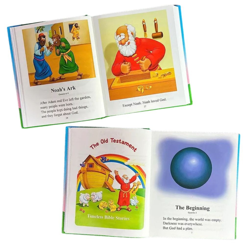 The Beginner's Bible: Timeless Children's Stories Book Novels Kids