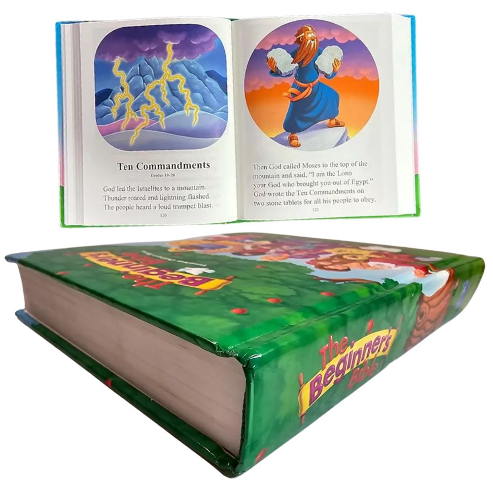 The Beginner's Bible: Timeless Children's Stories Book Novels Kids