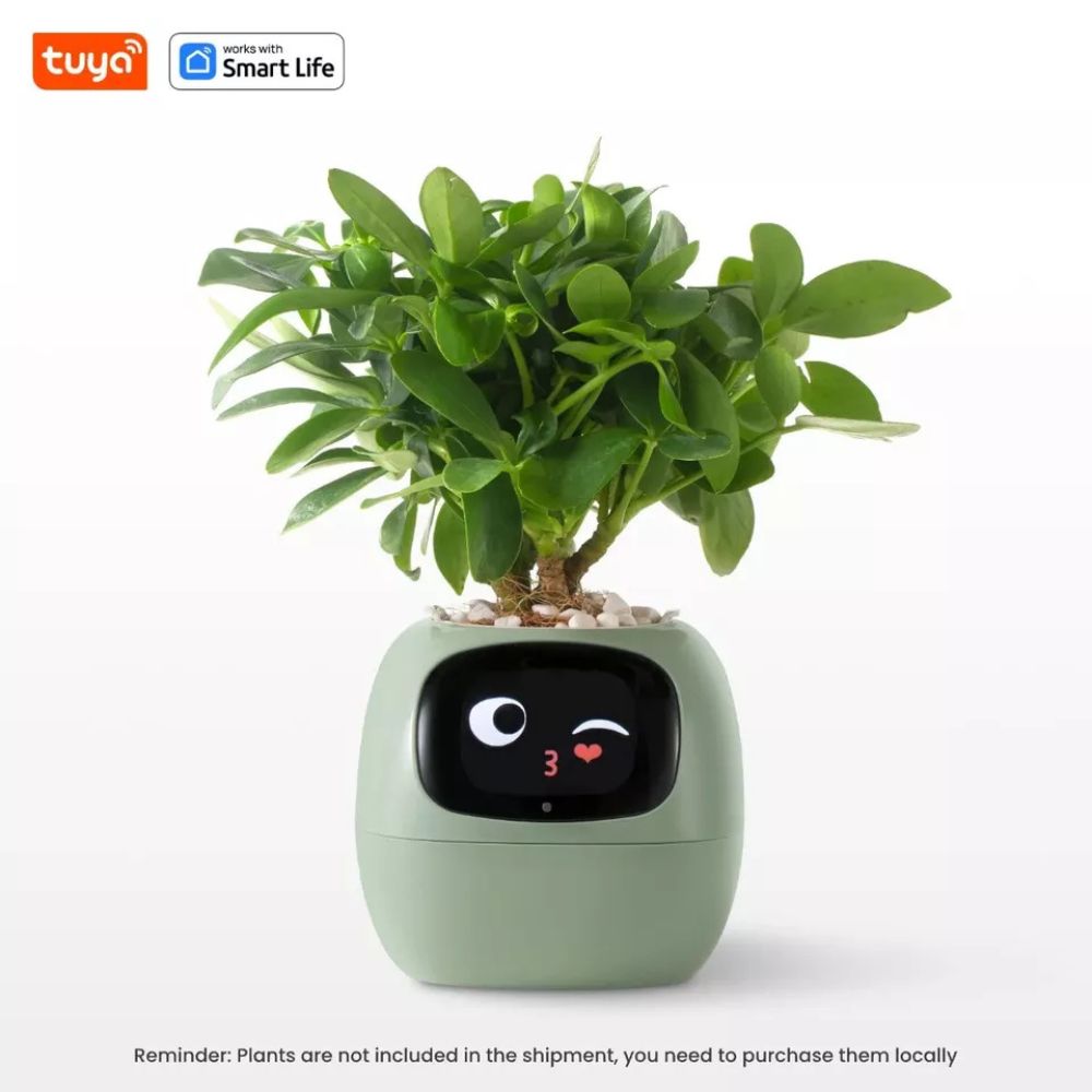 Tuya Ivy Smart Planter: AI Plant Care, Endless Fun, 7 Sensors, 49 Expressions