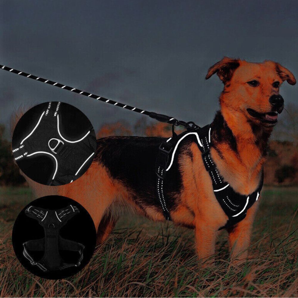 S-XL No-Pull Front Range Dog Harness Vest Adjustable Outdoor Handle Puppy Pet