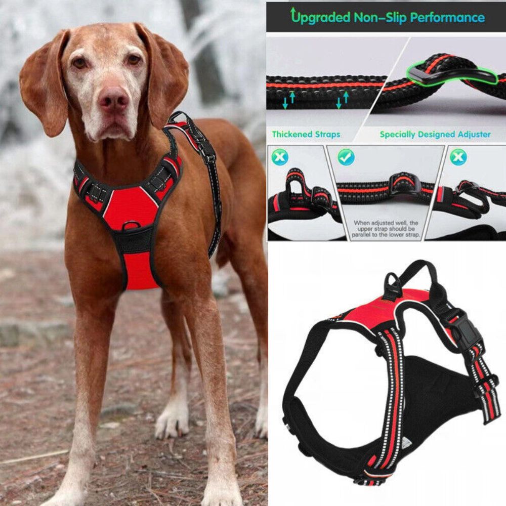 S-XL No-Pull Front Range Dog Harness Vest Adjustable Outdoor Handle Puppy Pet