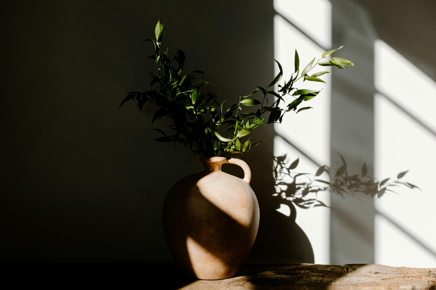 Home & Kitchen - Knick Knack Paddy Wack