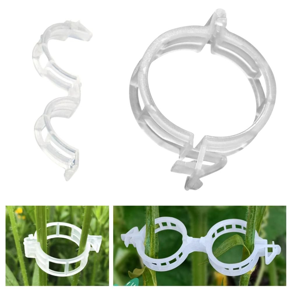 [product_title] | KKPW Australia