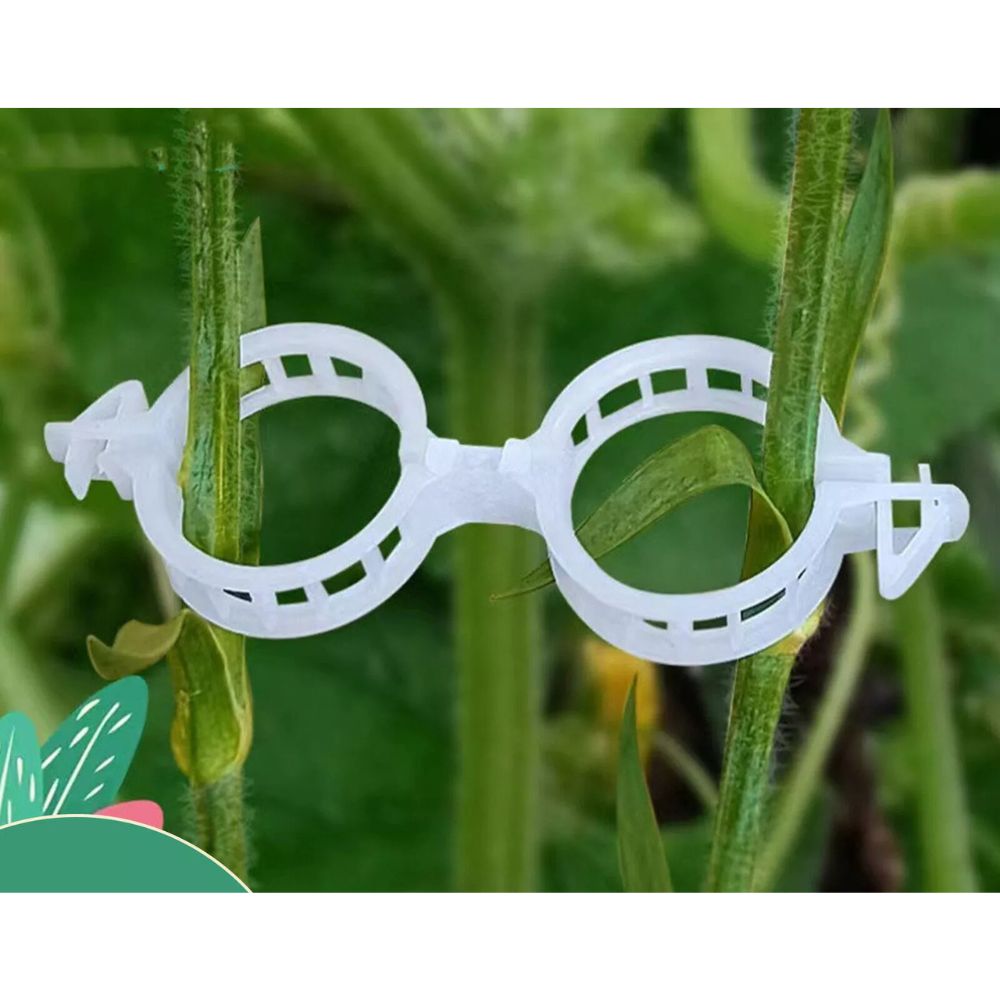 [product_title] | KKPW Australia