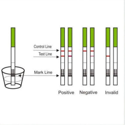 99.9% Accuracy Early Pregnancy Test Strips hCG diagnose sensitive urine strip fertility HPT kit