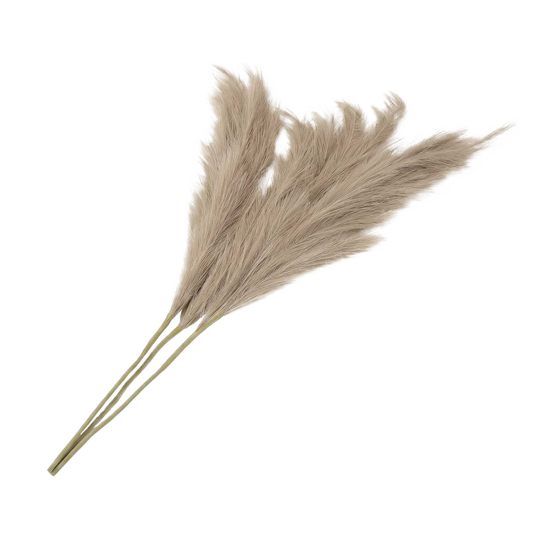 Santaco Pampas Grass Artificial 3Pcs 116cm Fluffy Faux Silk for Vase Brown-2100035034982518792