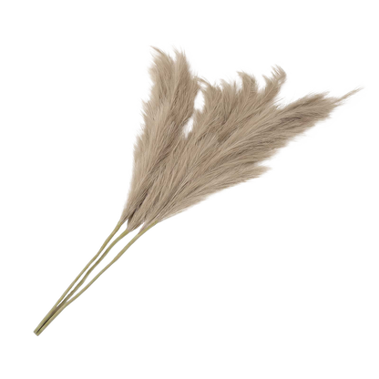 Santaco Pampas Grass Artificial 3Pcs 116cm Fluffy Faux Silk for Vase Brown-2100035034982518792