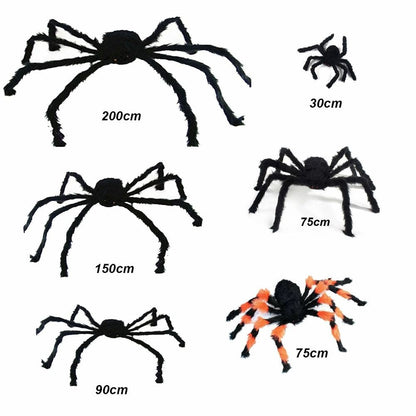 [product_title] | KKPW Australia