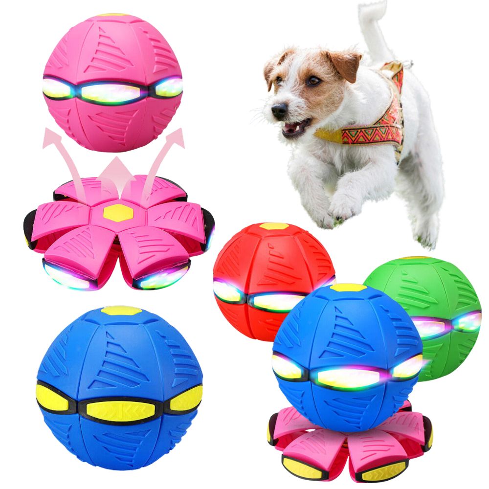 Flying disc dog toy best sale