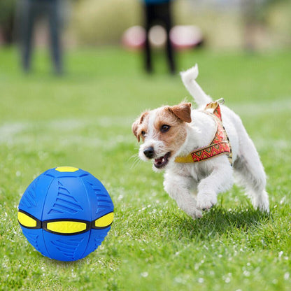 2024 Flying UFO Flat Throw Disc Ball Toy Pet Flying Saucer Dog Toy Gift