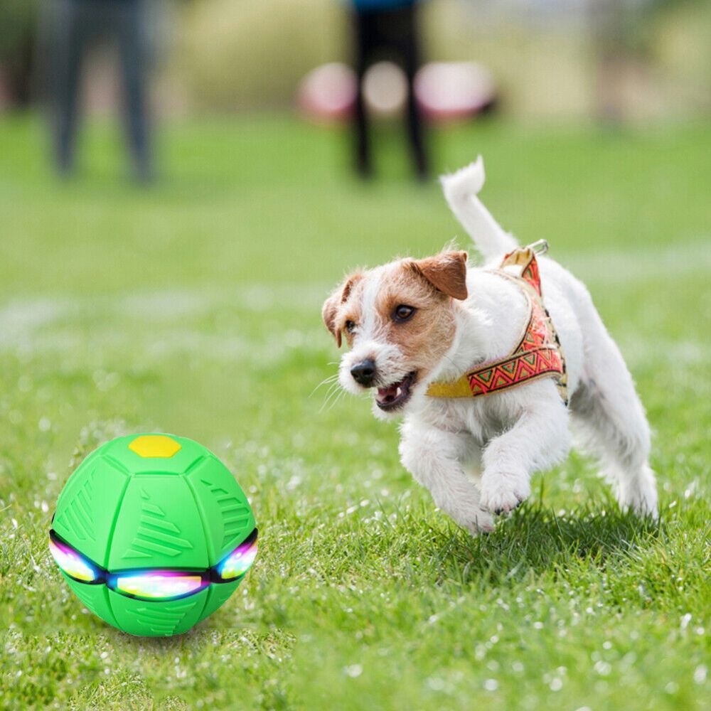 2024 Flying UFO Flat Throw Disc Ball Toy Pet Flying Saucer Dog Toy Gift