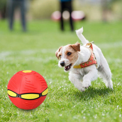 2024 Flying UFO Flat Throw Disc Ball Toy Pet Flying Saucer Dog Toy Gift