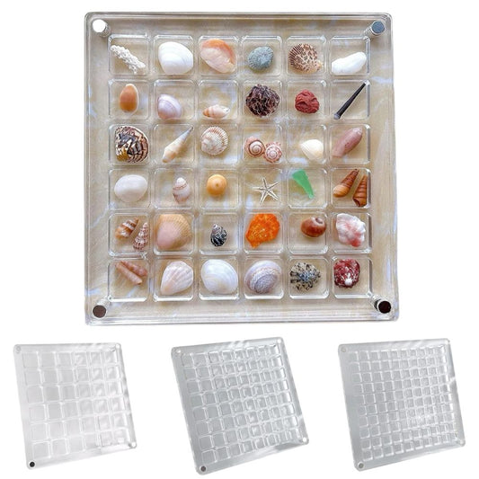 36/64/100Grids Acrylic Magnetic Seashell Display Box Seashell Display Organiser