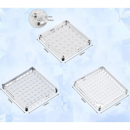 36/64/100Grids Acrylic Magnetic Seashell Display Box Seashell Display Organiser