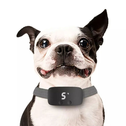 Anti Bark Collar Device Rechargeable Smart Compact Training Shock