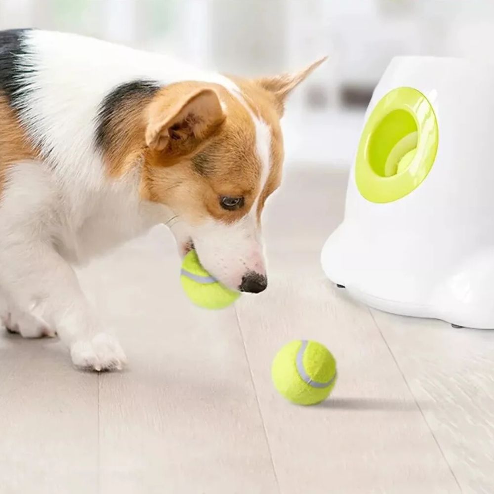 Automatic Pet Dog Ball Launcher Throwing Machine Tennis Ball Interactive Fetch Toy + 3 Ball