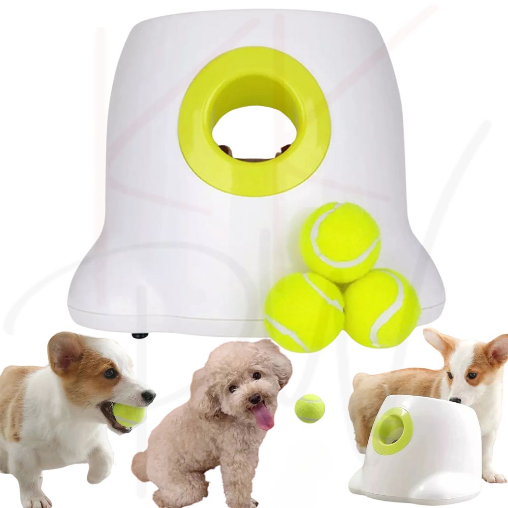 Automatic Pet Dog Ball Launcher Throwing Machine Tennis Ball Interactive Fetch Toy + 3 Ball