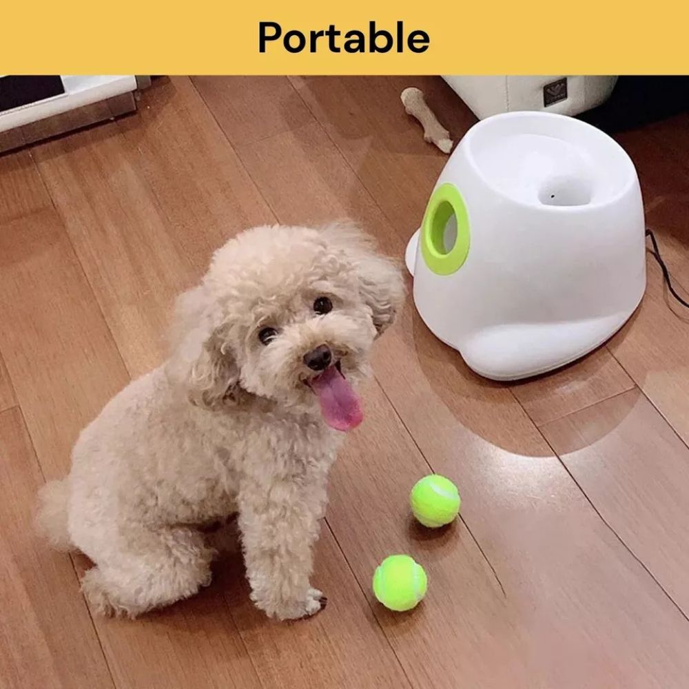 Automatic Pet Dog Ball Launcher Throwing Machine Tennis Ball Interactive Fetch Toy + 3 Ball