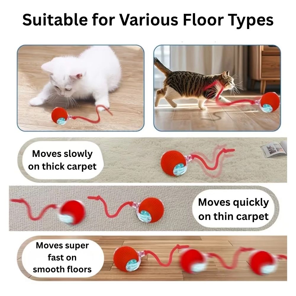 Interactive Dog & Cat Toy Rechargeable Rolling Ball with Fake Tail Pet Fun