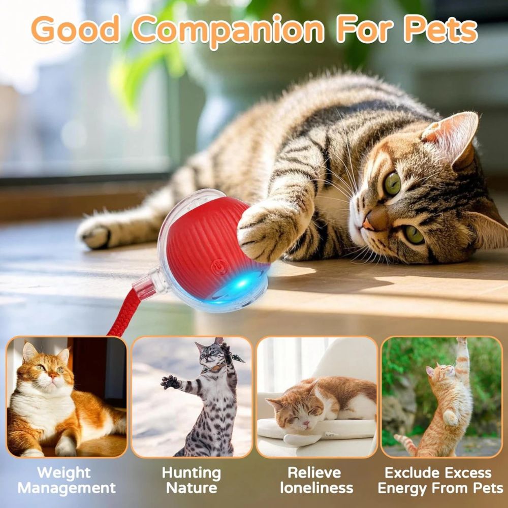 Interactive Dog & Cat Toy Rechargeable Rolling Ball with Fake Tail Pet Fun
