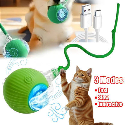 Interactive Dog & Cat Toy Rechargeable Rolling Ball with Fake Tail Pet Fun
