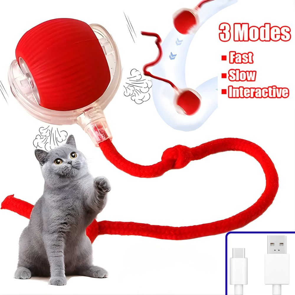 Interactive Dog & Cat Toy Rechargeable Rolling Ball with Fake Tail Pet Fun
