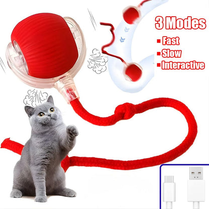 Interactive Dog & Cat Toy Rechargeable Rolling Ball with Fake Tail Pet Fun