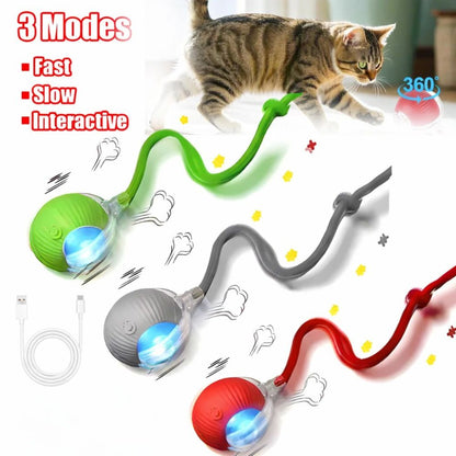 Interactive Dog & Cat Toy Rechargeable Rolling Ball with Fake Tail Pet Fun