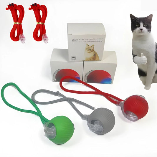 Interactive Dog & Cat Toy Rechargeable Rolling Ball with Fake Tail Pet Fun