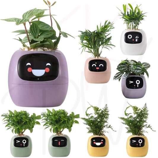 Tuya Ivy Smart Planter: AI Plant Care, Endless Fun, 7 Sensors, 49 Expressions