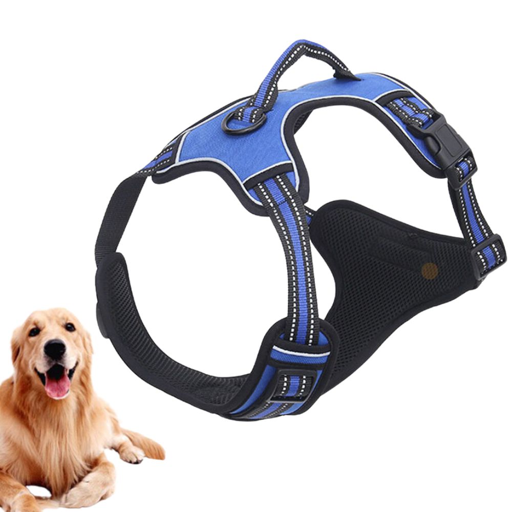 Puppy dog leash best sale