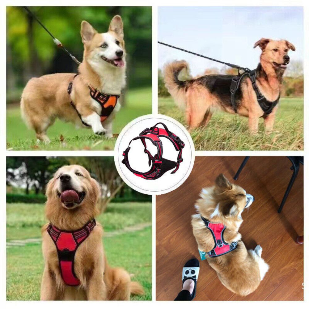 S XL No Pull Front Range Dog Harness Vest Adjustable Outdoor Handle Pu Knick Knack Paddy Wack