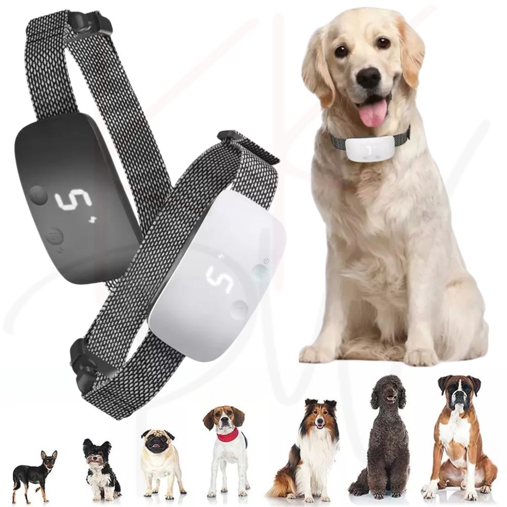 [product_title] | KKPW Australia