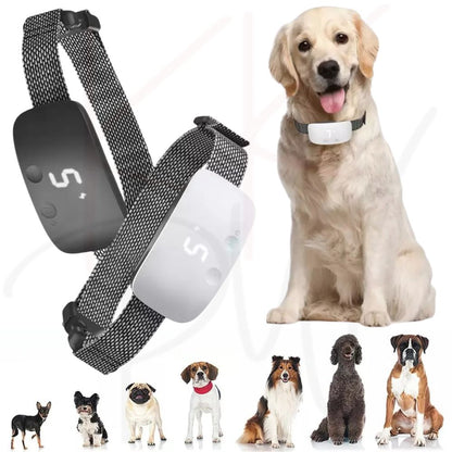 [product_title] | KKPW Australia