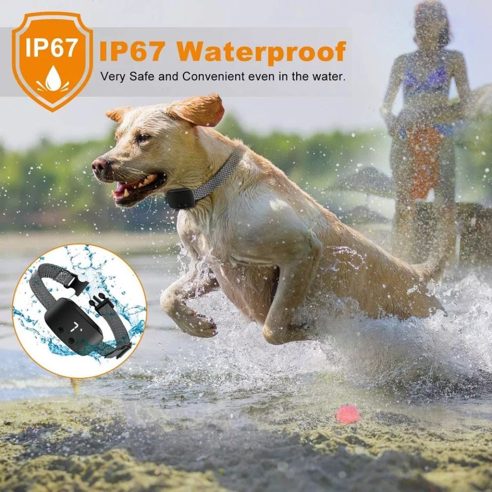 [product_title] | KKPW Australia