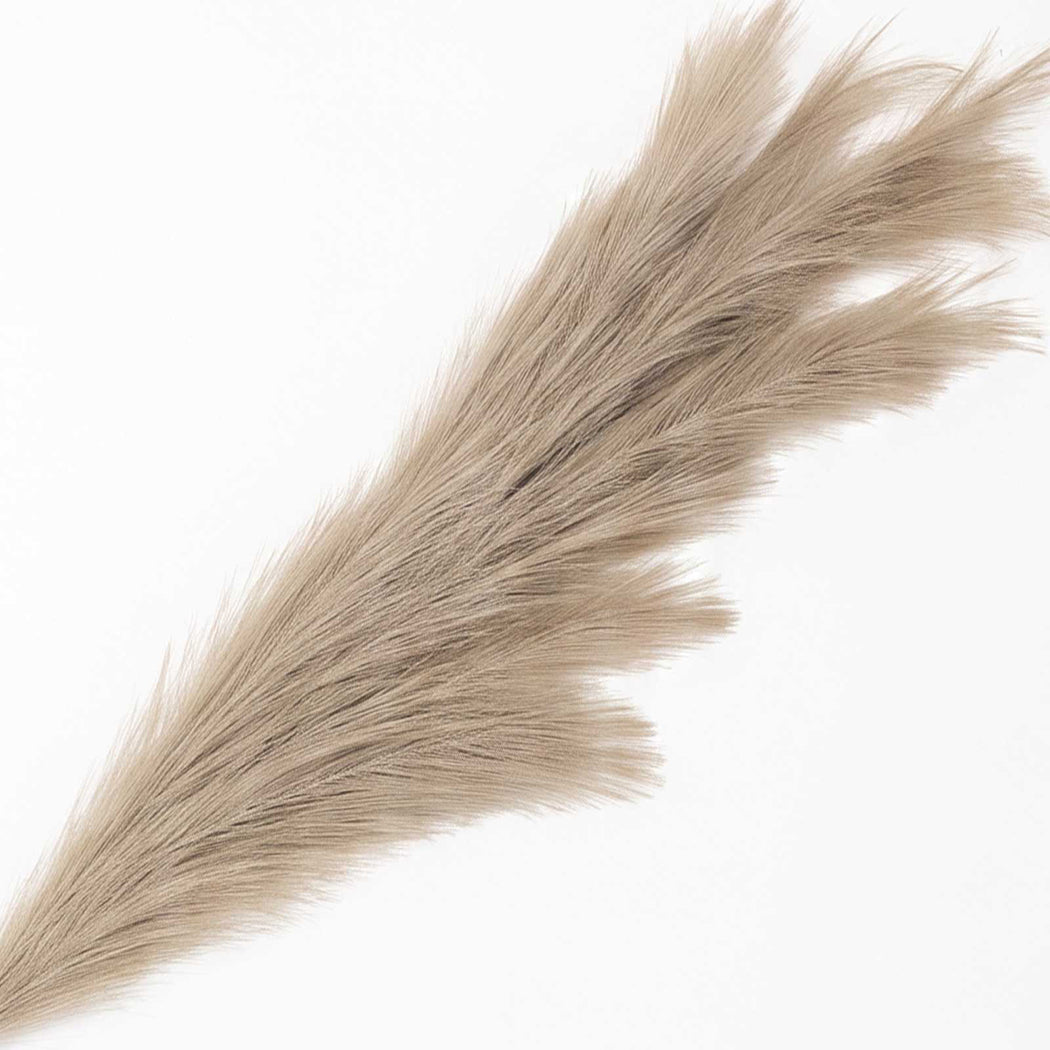 Santaco Pampas Grass Artificial 3Pcs 116cm Fluffy Faux Silk for Vase Brown-2100035034982518787