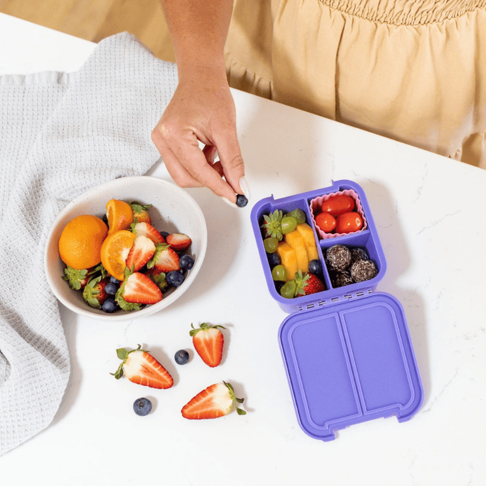 Little Lunch Box Co Bento Two Blueberry-2006733352585007106