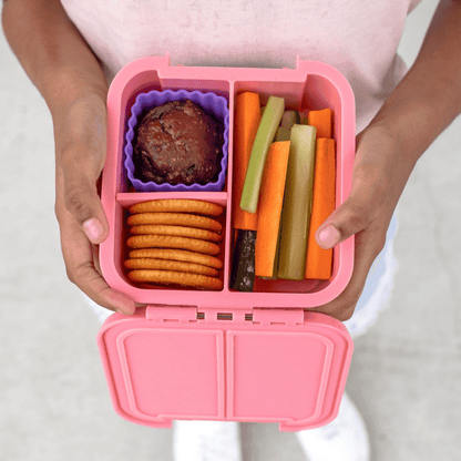 Little Lunch Box Co Bento Two Apple-2006733352421429252
