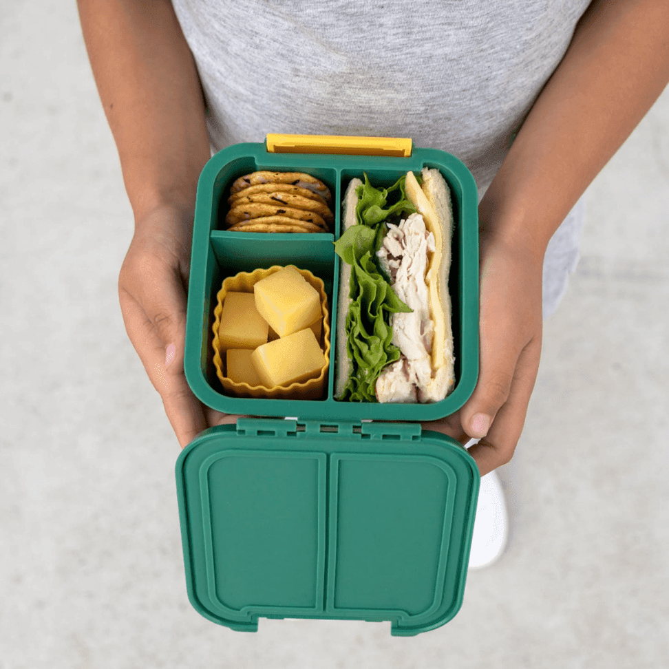 Little Lunch Box Co Bento Two Blueberry-2006733352585007109