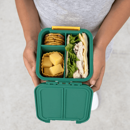 Little Lunch Box Co Bento Two Blueberry-2006733352585007109